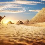 Profile picture of رجب السيد