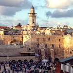 Profile picture of Amina TAIB