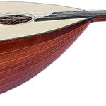 Profile picture of omar kazzoul